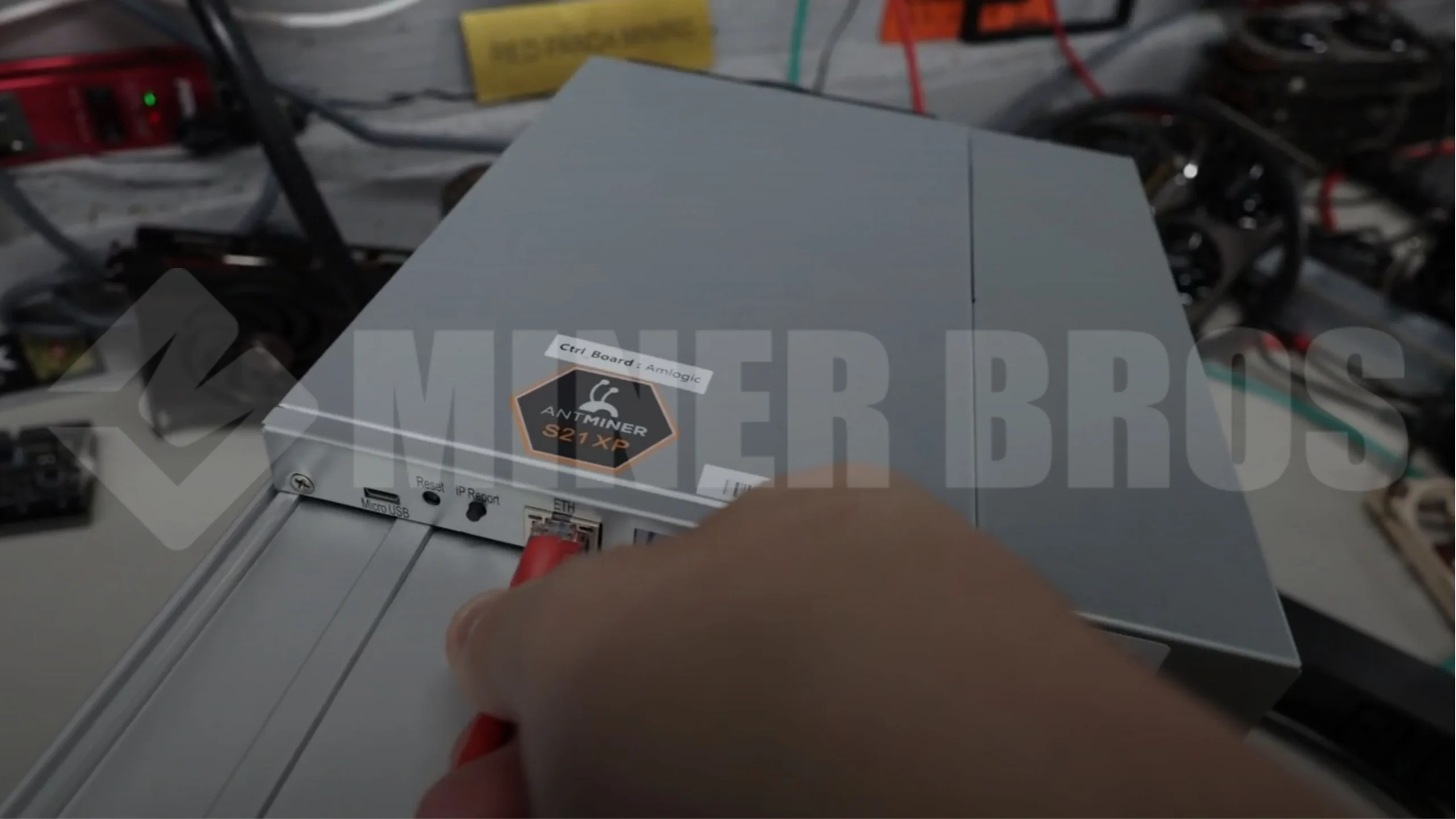 conecta el cable Ethernet al Antminer S21 XP - 7