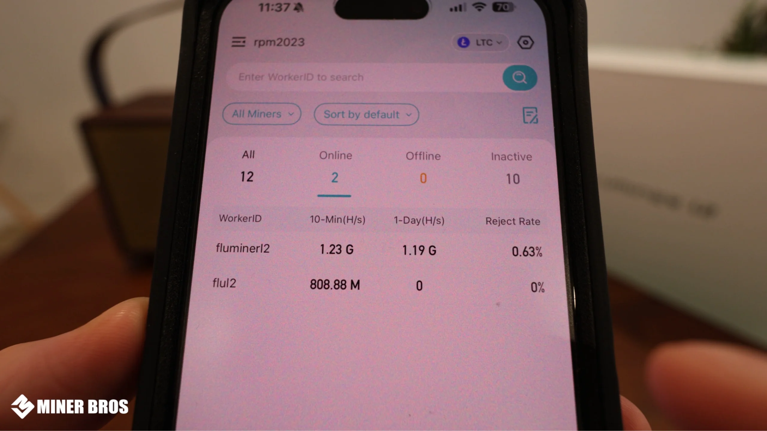 Después de reconectarse, tu Fluminer L2 se enlazará al pool y, en menos de 10 minutos, verás actividad de hashrate. - 26